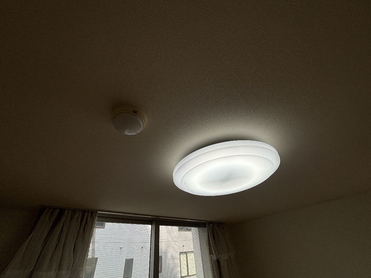 写真31