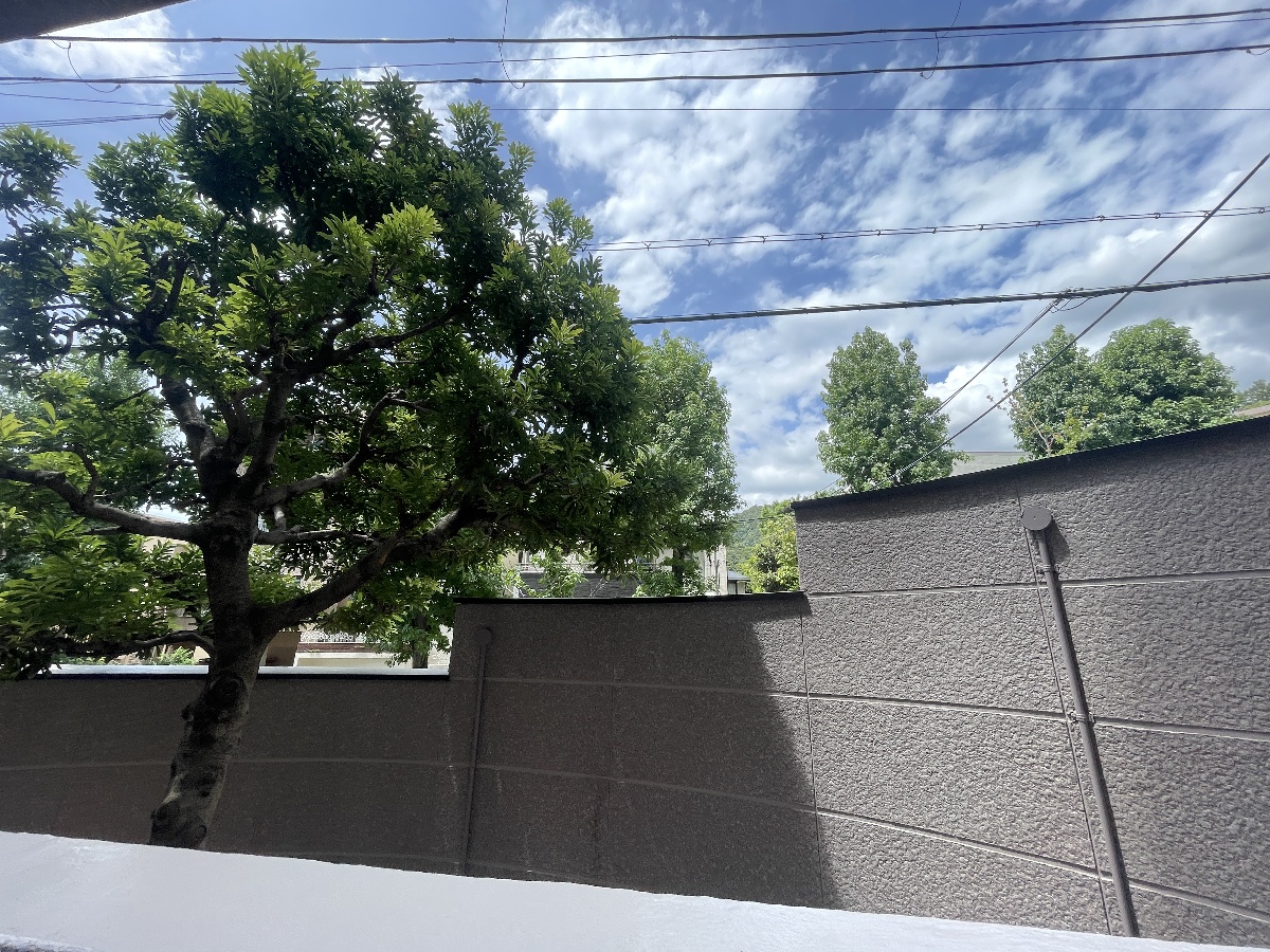 眺望 写真19