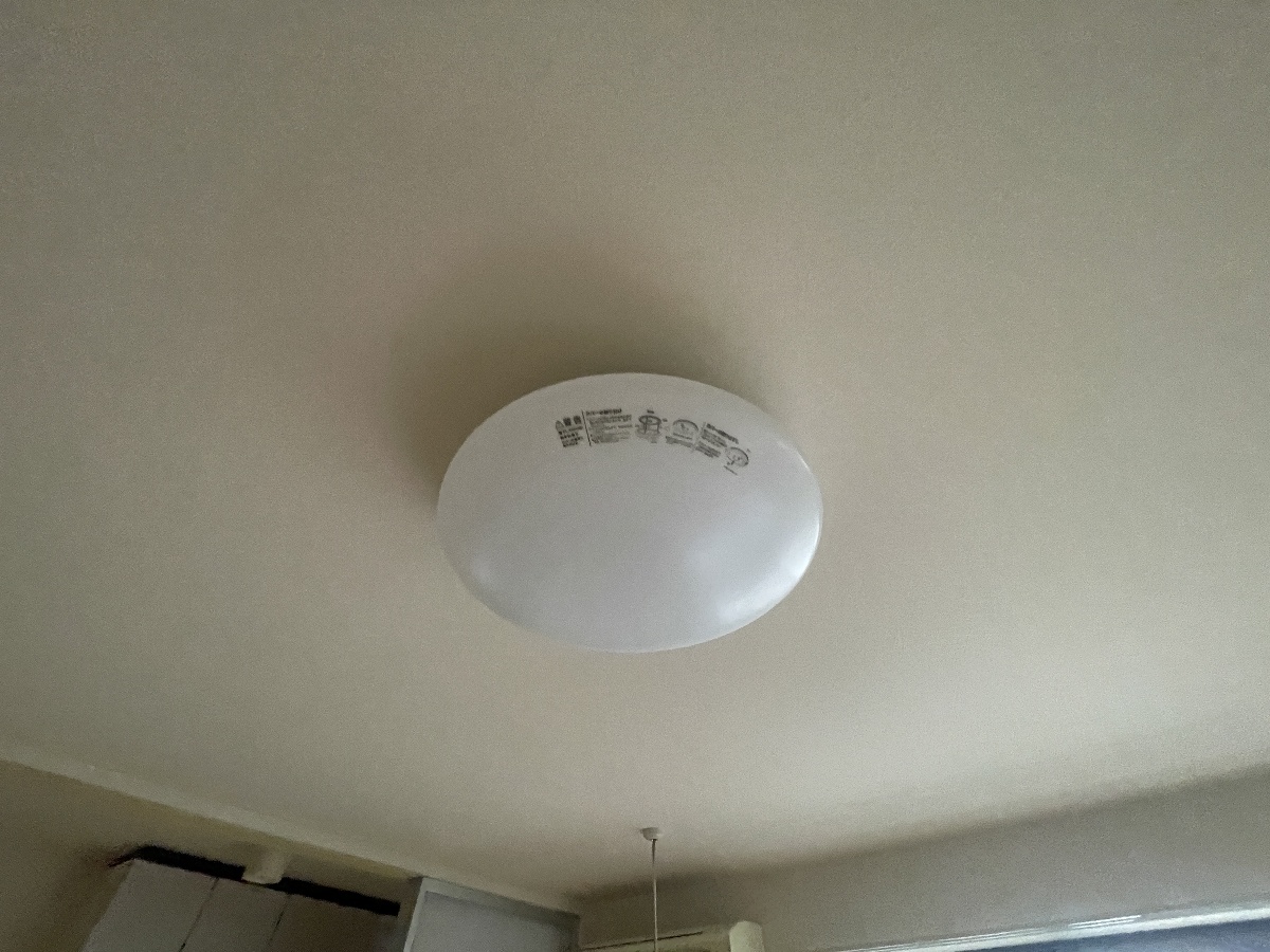 写真33