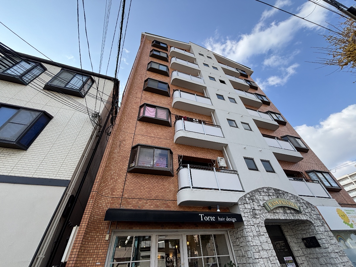 カサパロマ水木