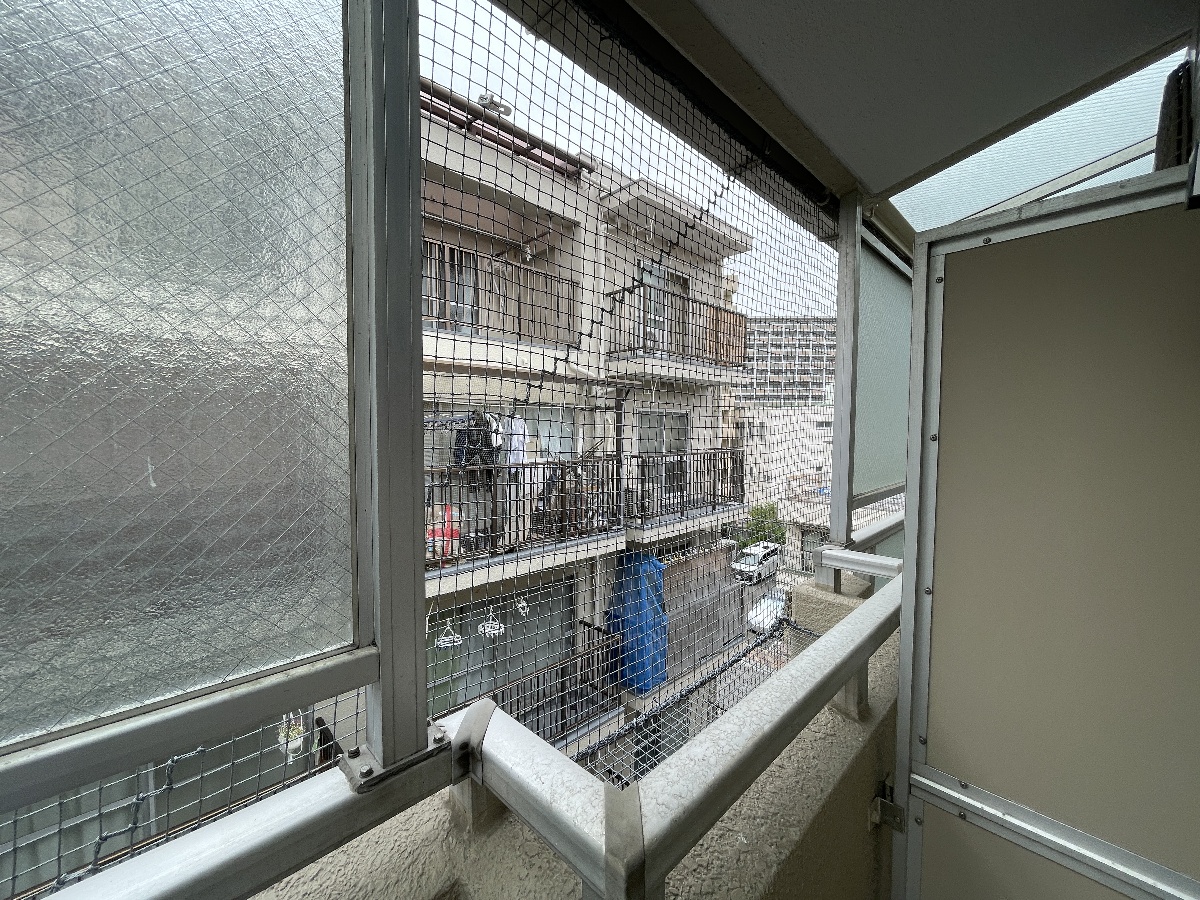 写真28