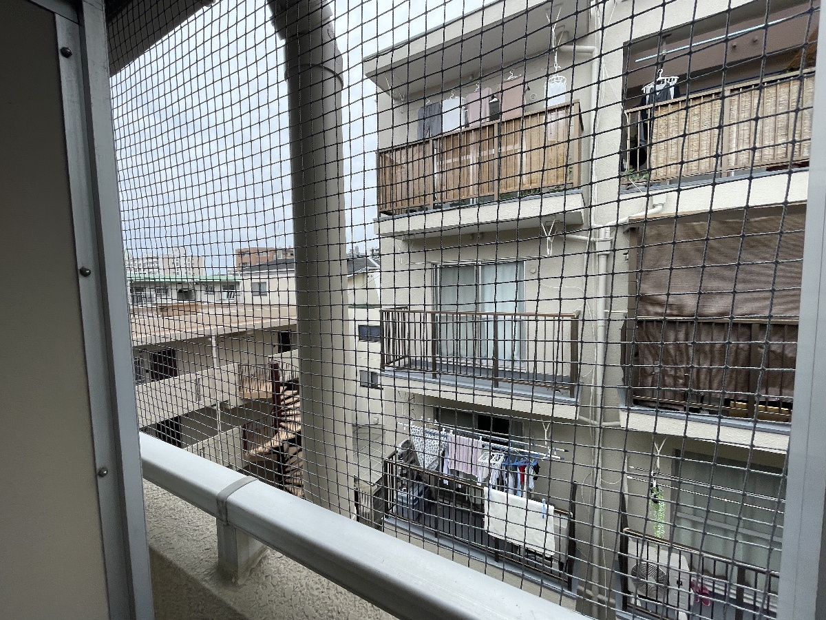 眺望 写真17
