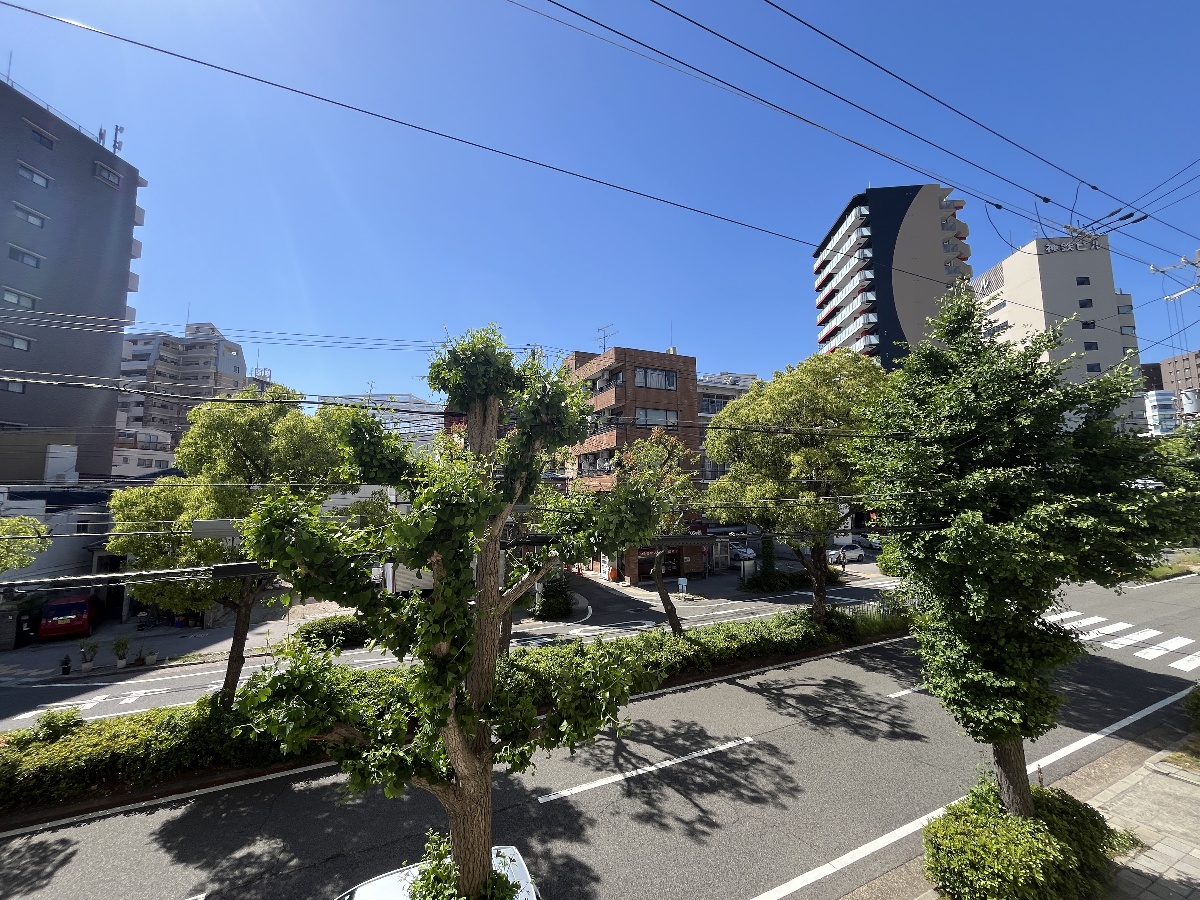 眺望 写真19