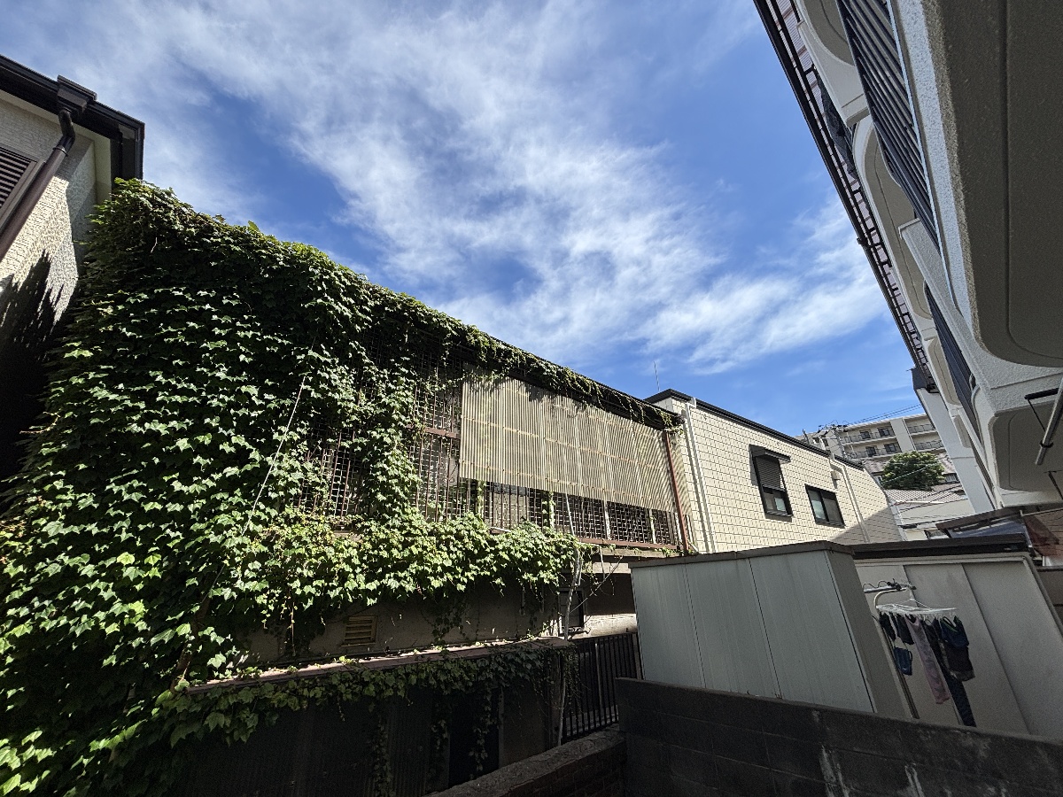 眺望 写真18