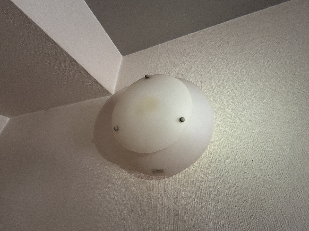 写真33