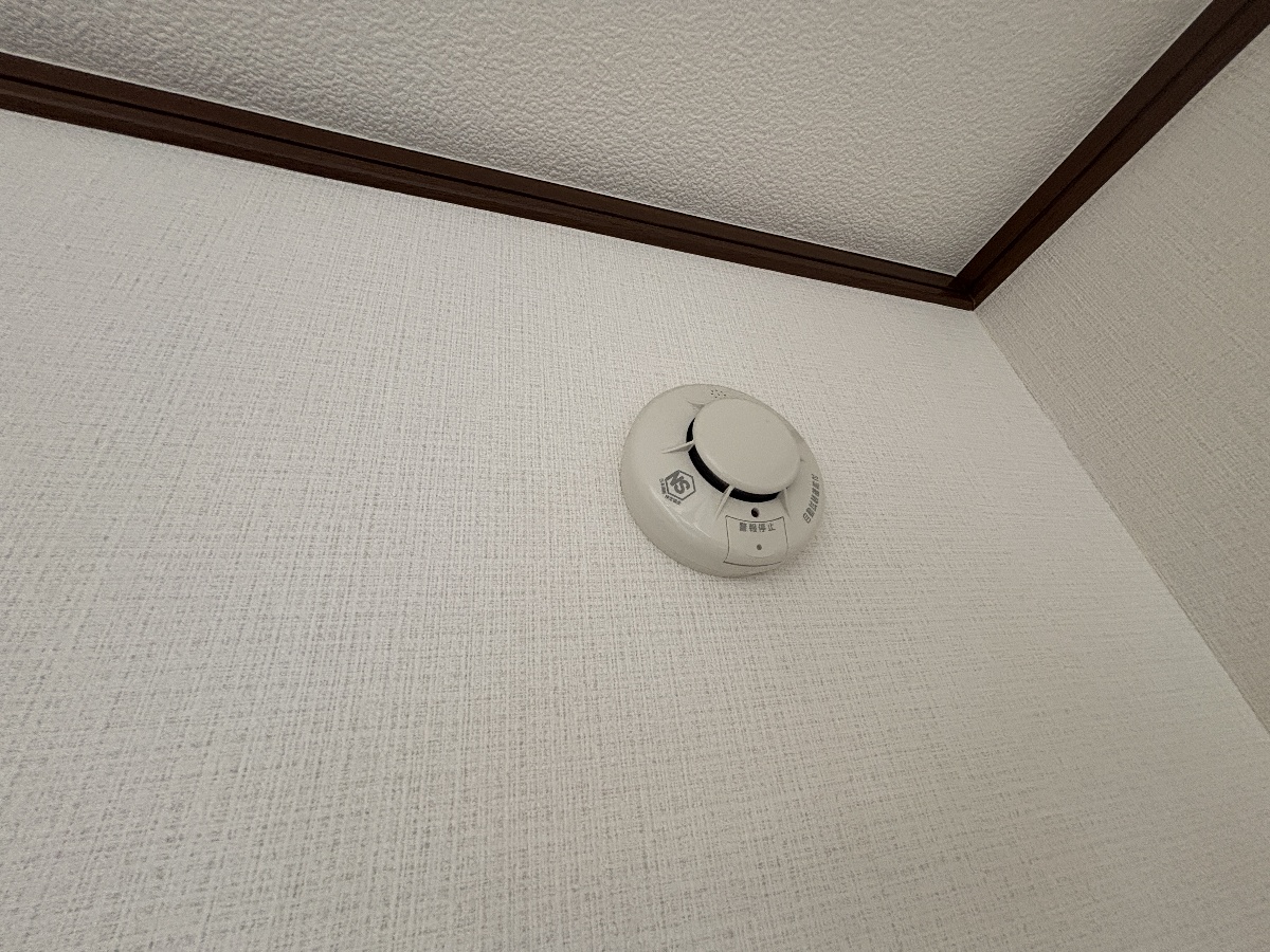 写真32