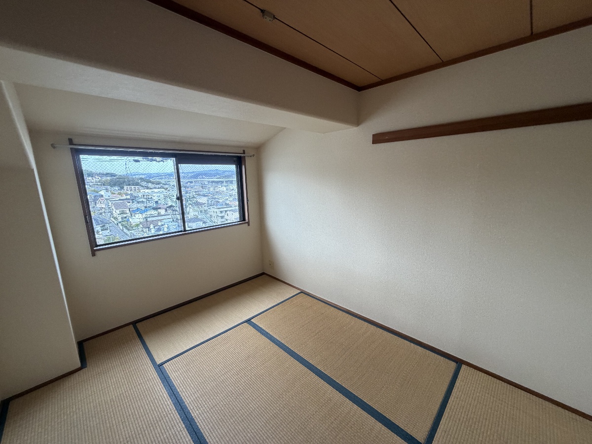写真29