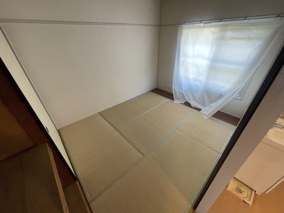 写真18