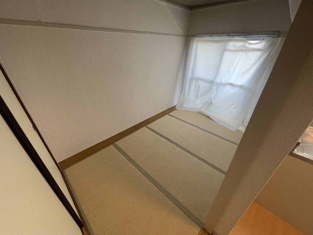 写真19