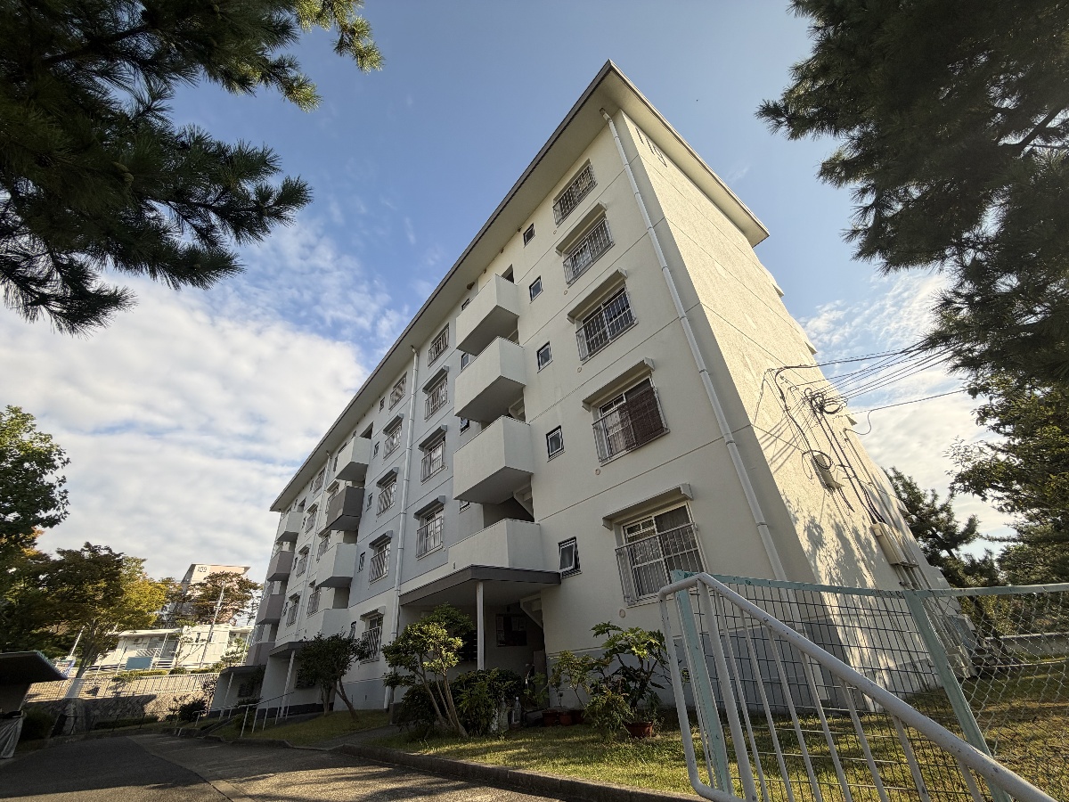 敷地内/建物 写真3