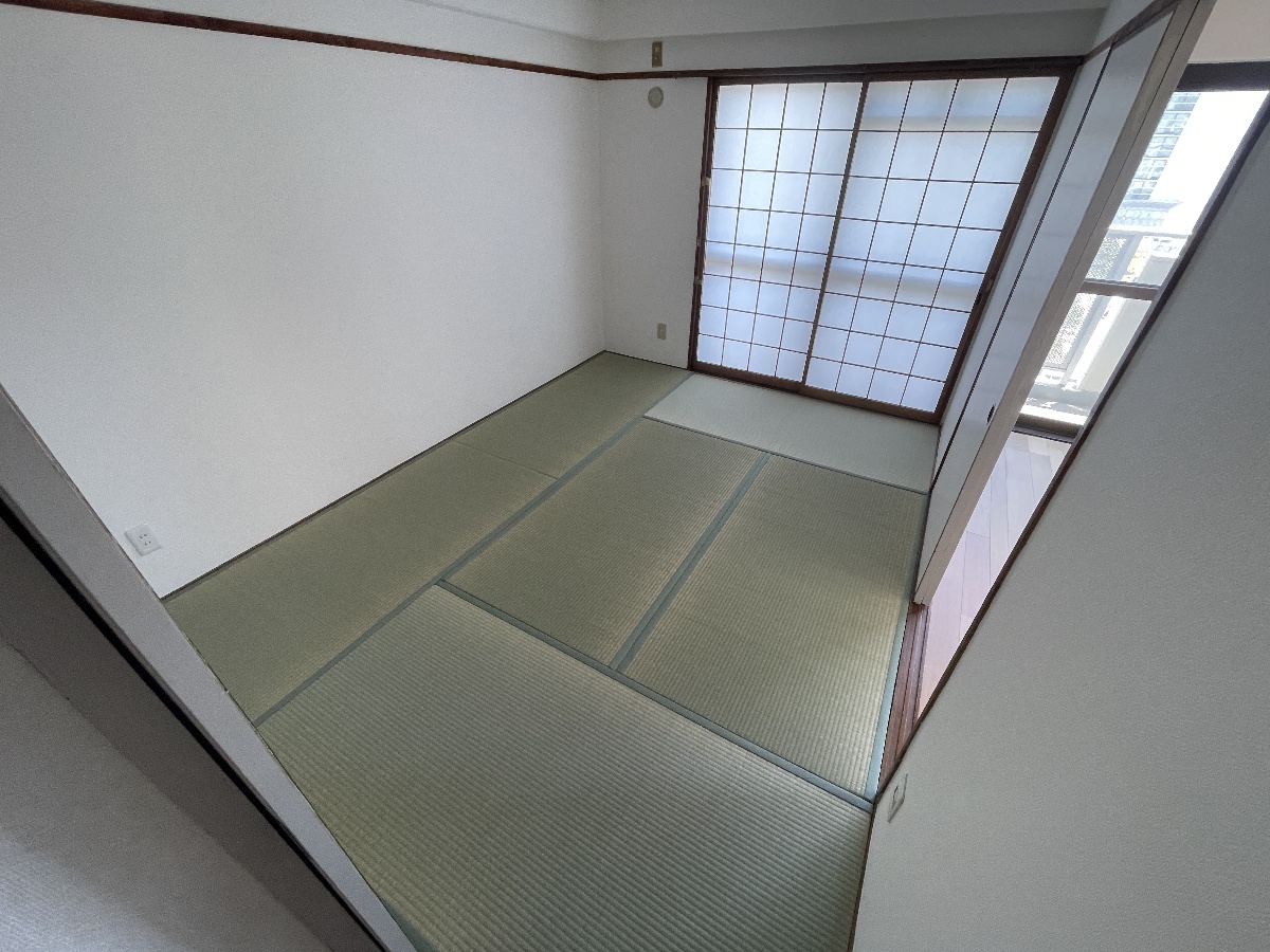写真28