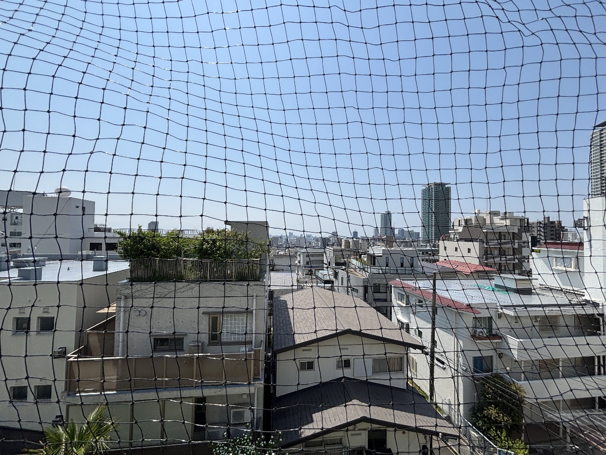 写真37
