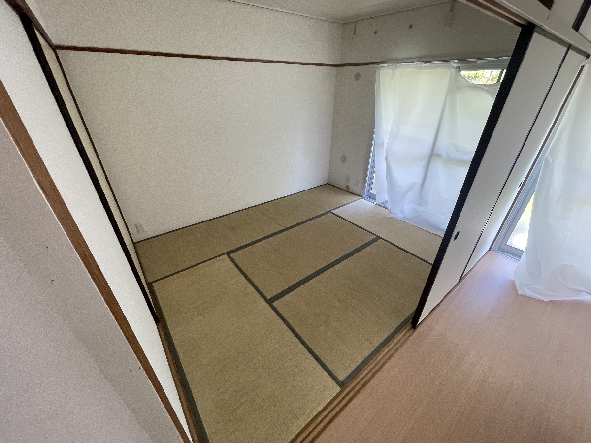 写真28