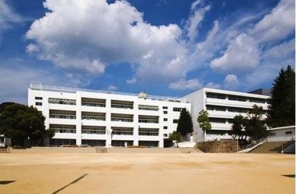神戸市立丸山ひばり小学校まで472m (徒歩6分) 写真21