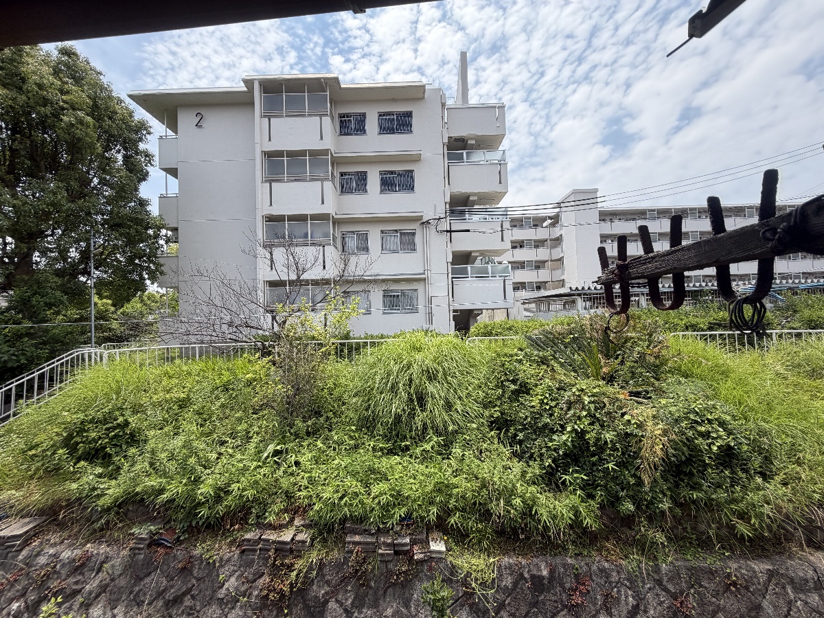 眺望 写真36