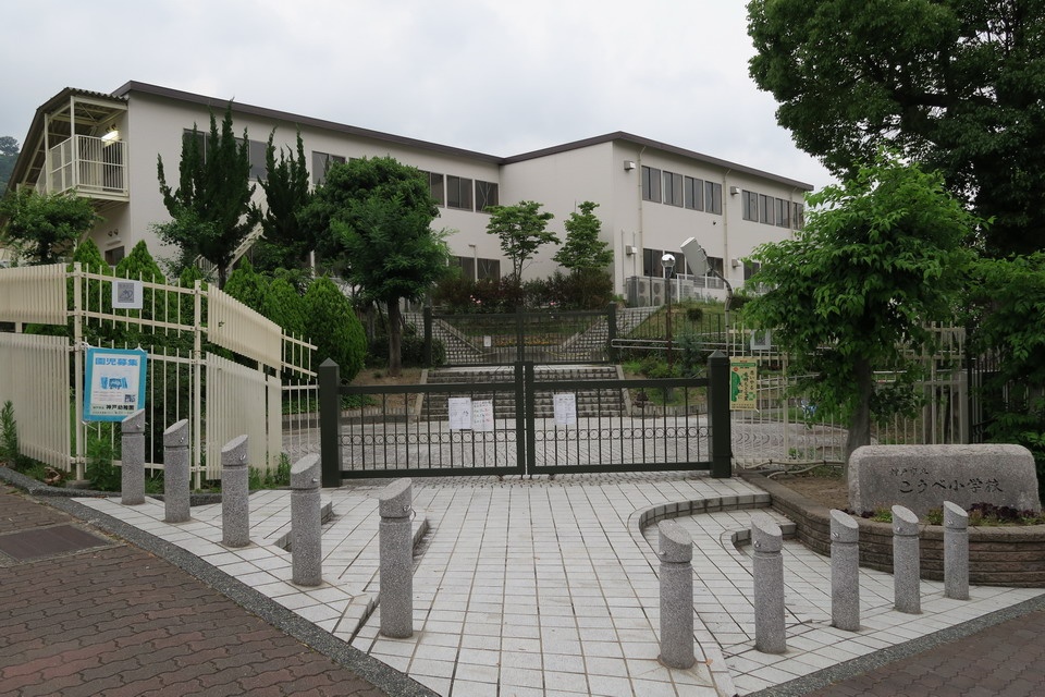 神戸市立こうべ小学校まで904m (徒歩12分) 写真21