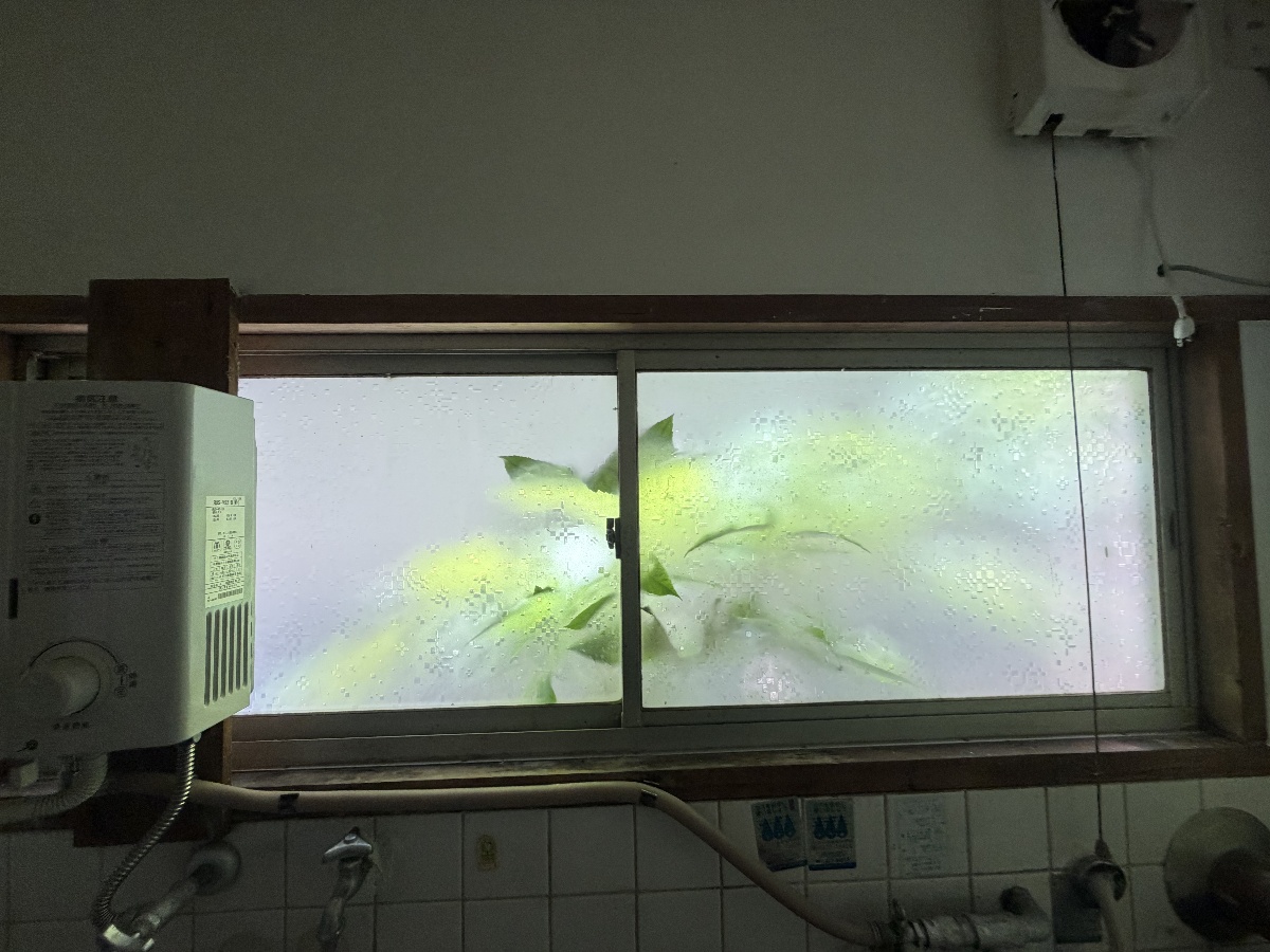 キッチン 写真5