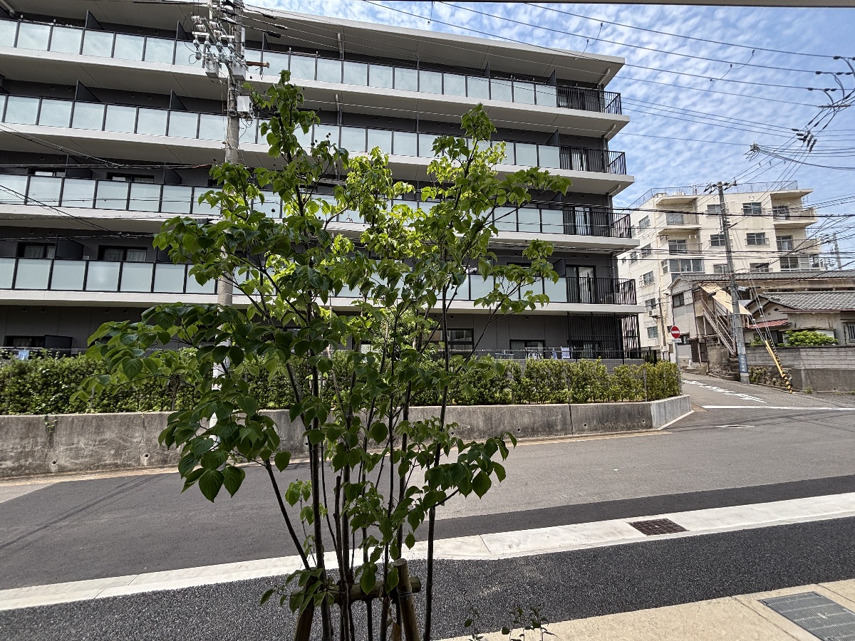 眺望 写真30