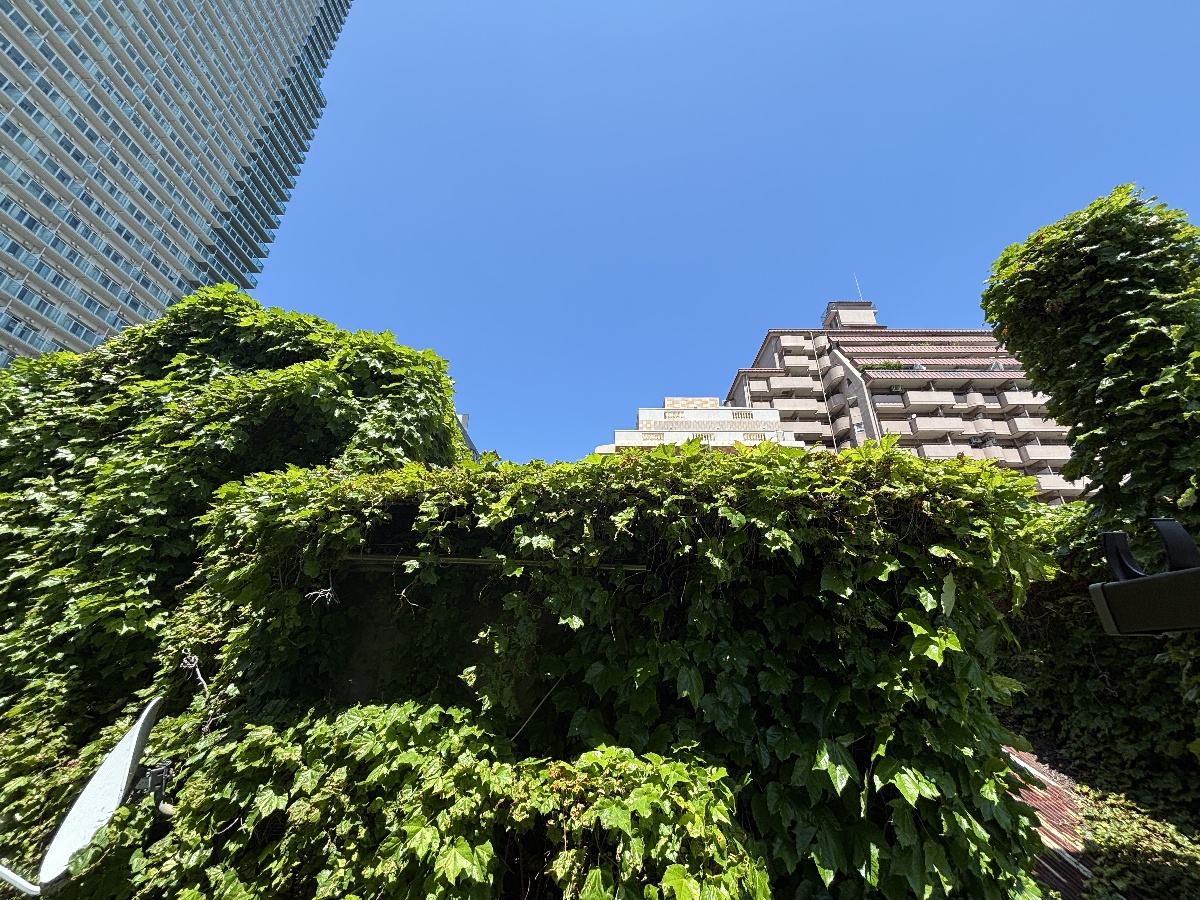 眺望 写真17