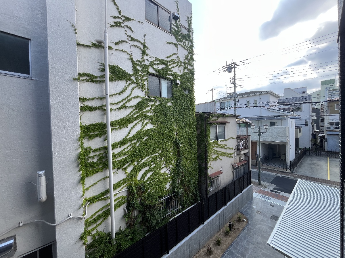 眺望 写真18