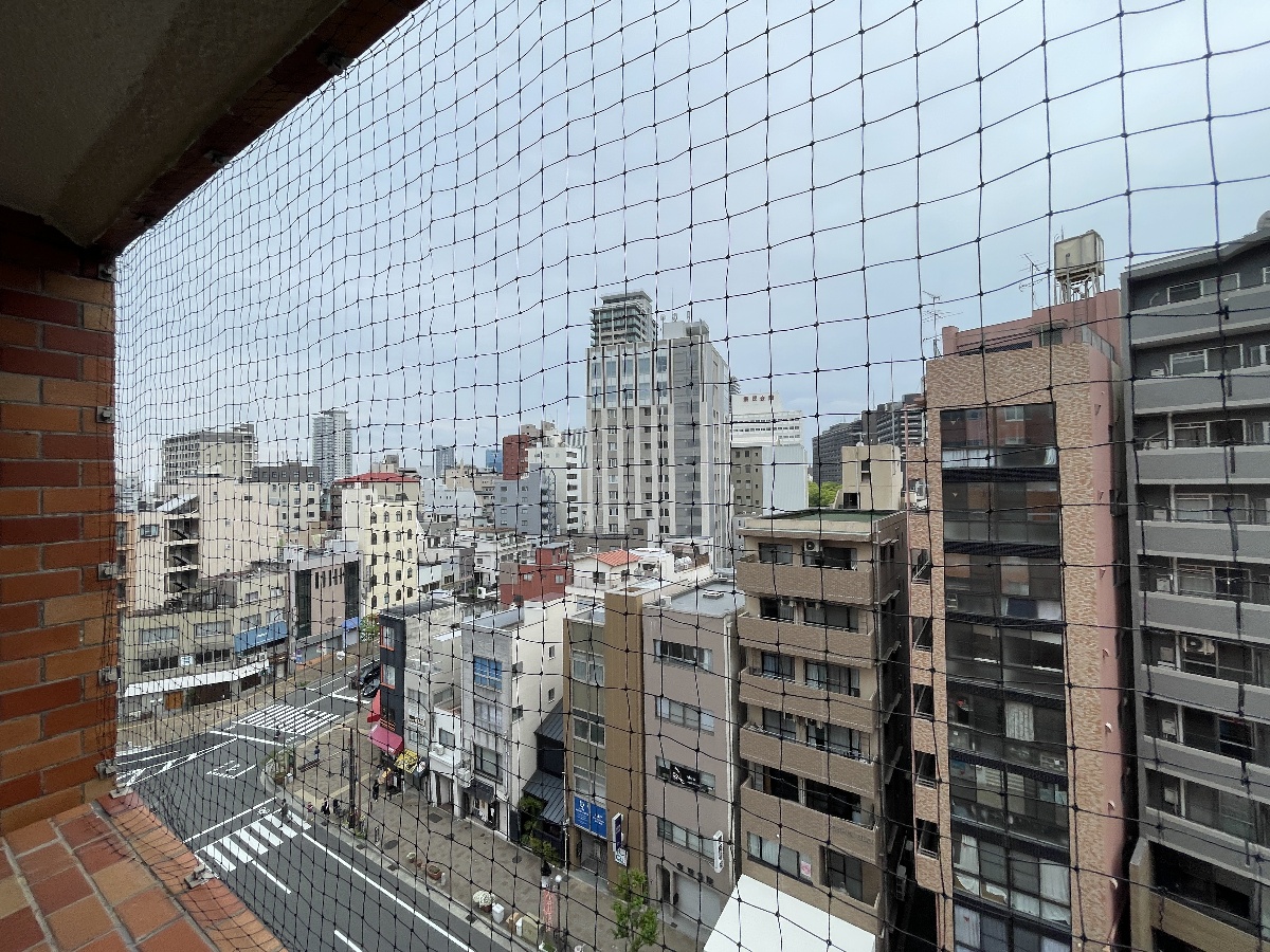 眺望 写真19