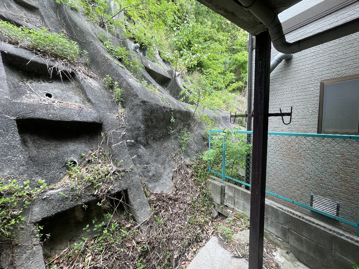 庭 写真13