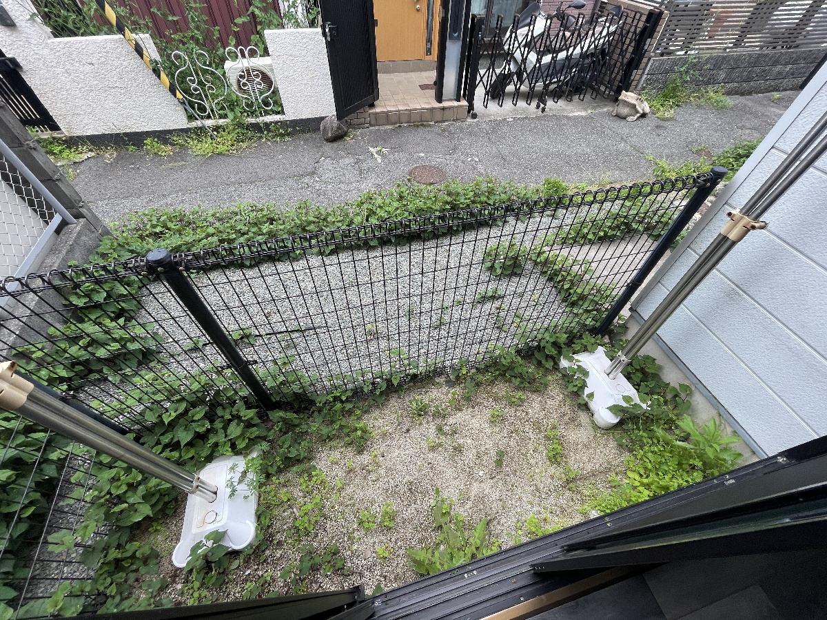 庭 写真11
