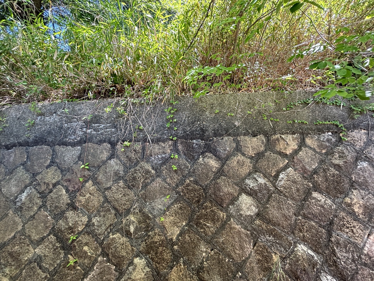 眺望 写真29