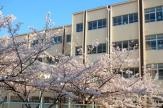 神戸市立桜の宮小学校まで1153m (徒歩15分) 写真21