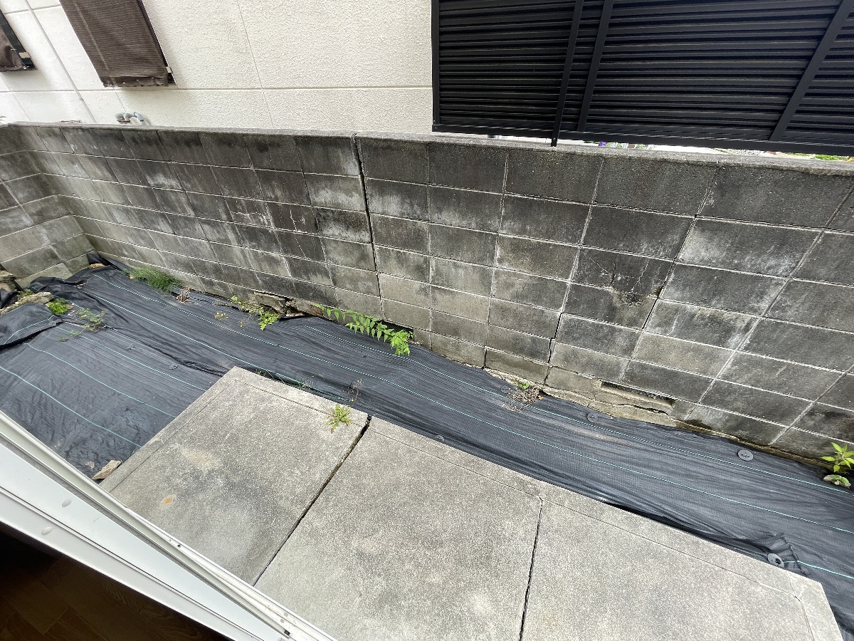 庭 写真13