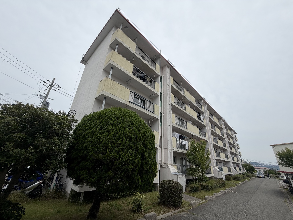 外観 写真4