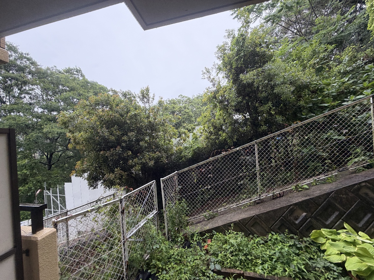 眺望 写真34