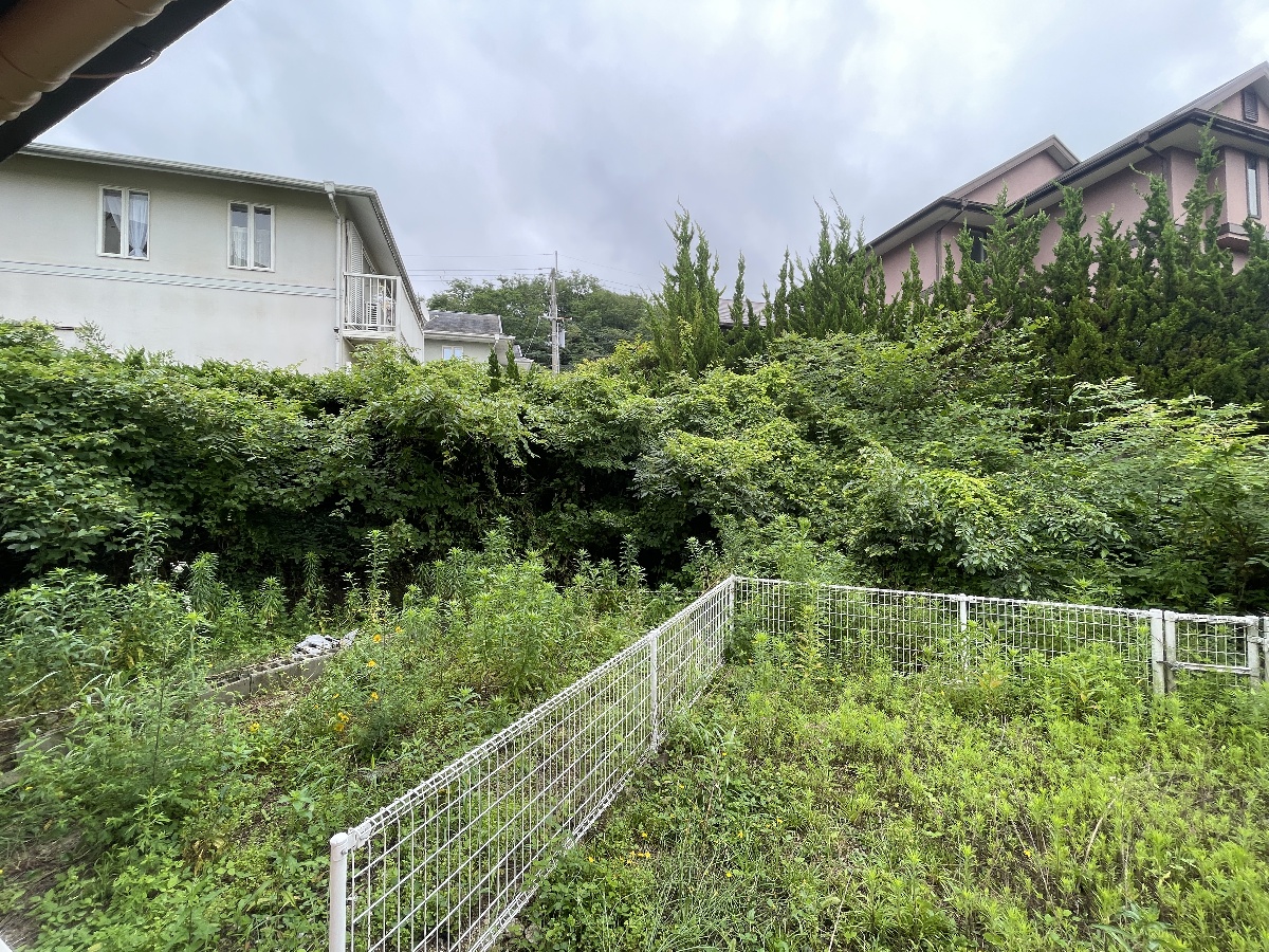 眺望 写真19