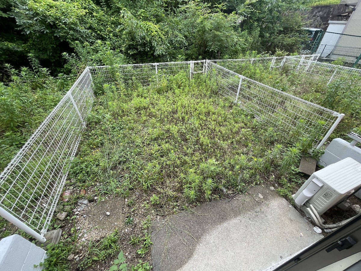 庭 写真13