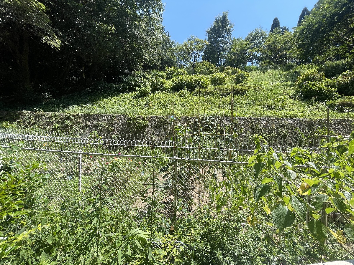 庭 写真15