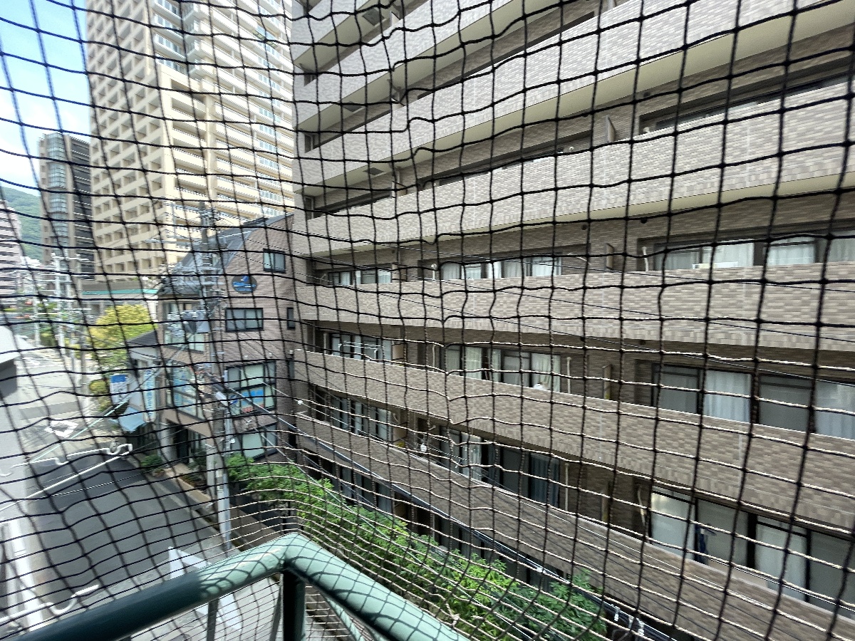 眺望 写真17
