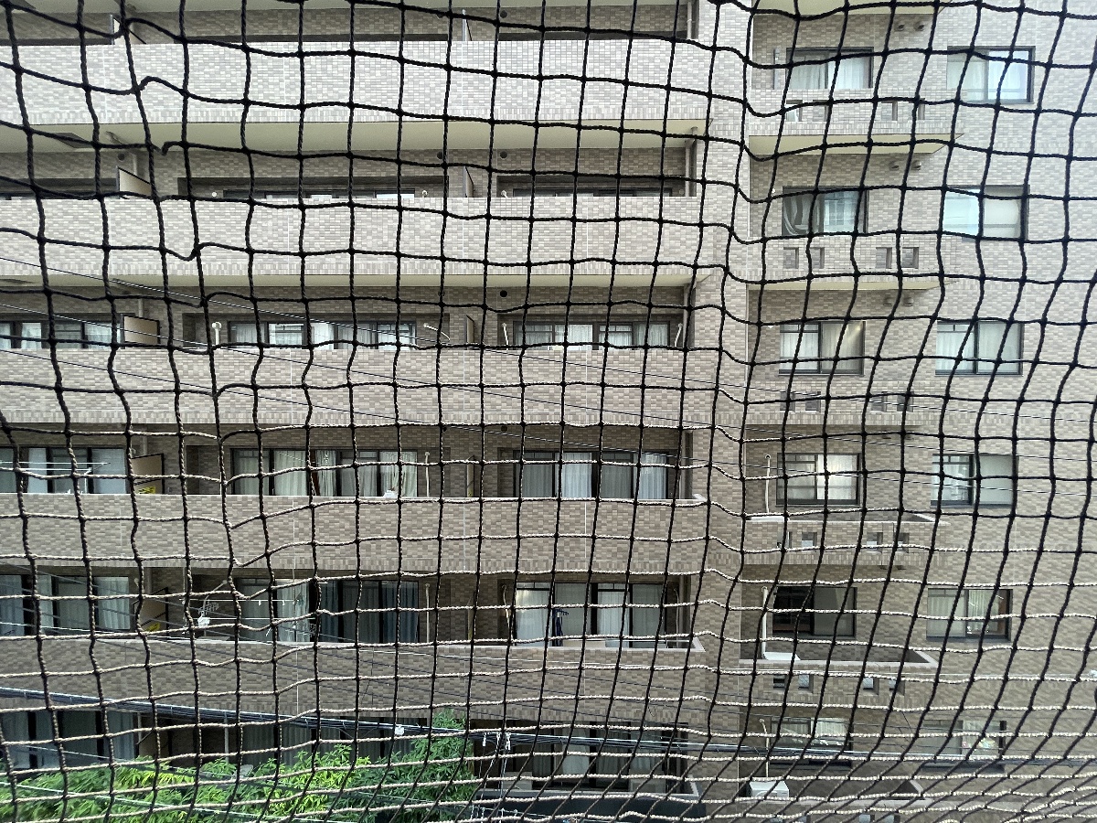 眺望 写真18