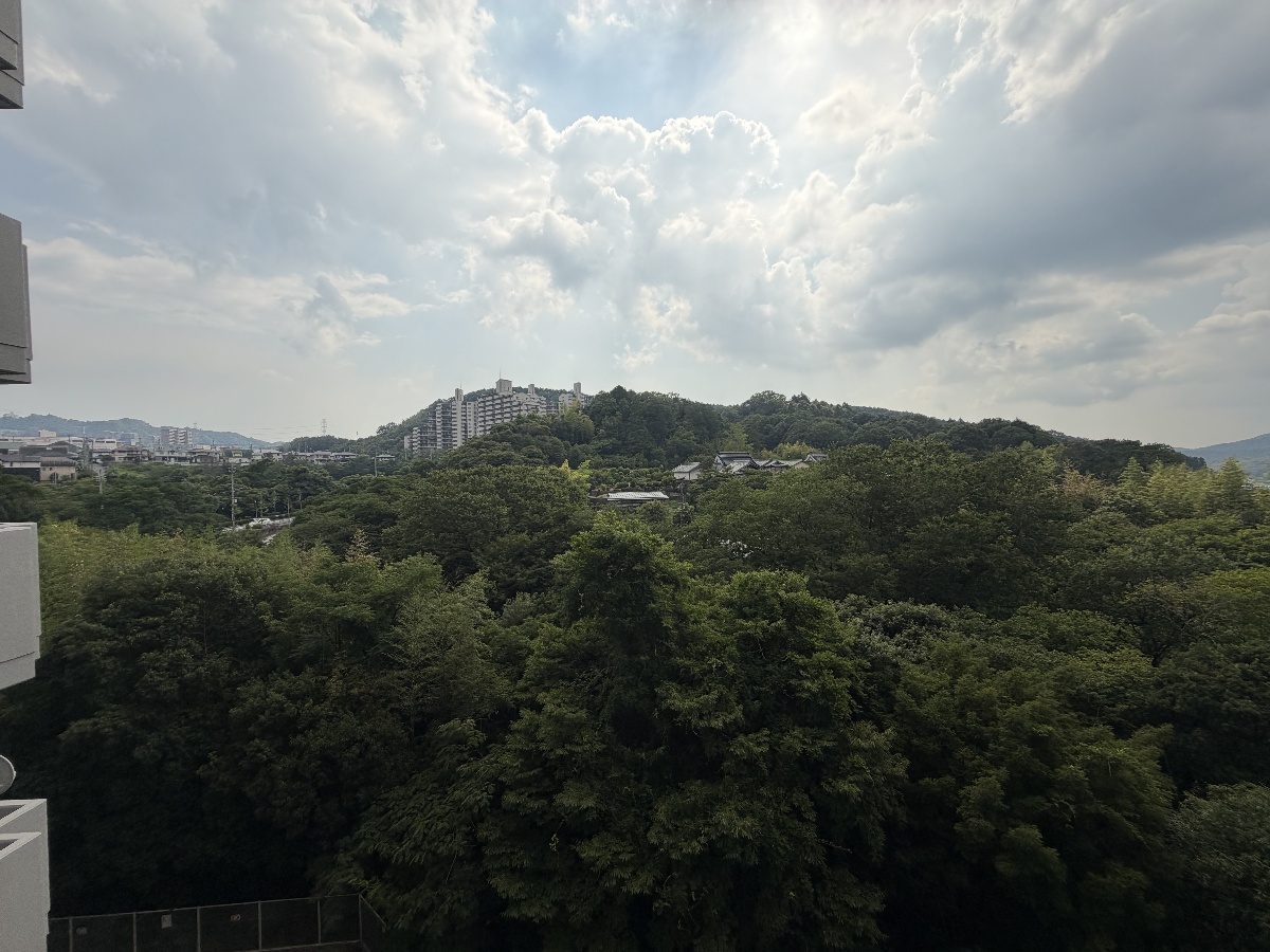 眺望 写真30