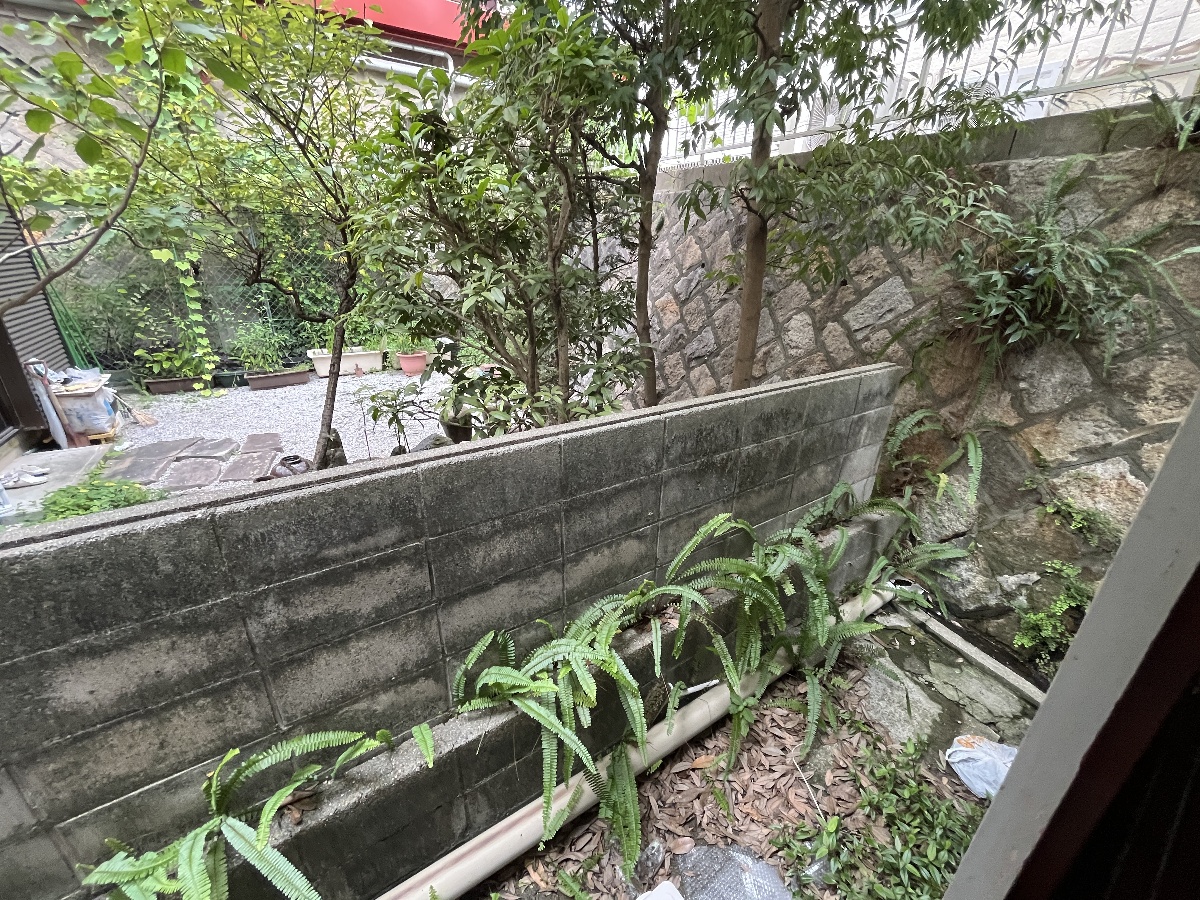 眺望 写真14