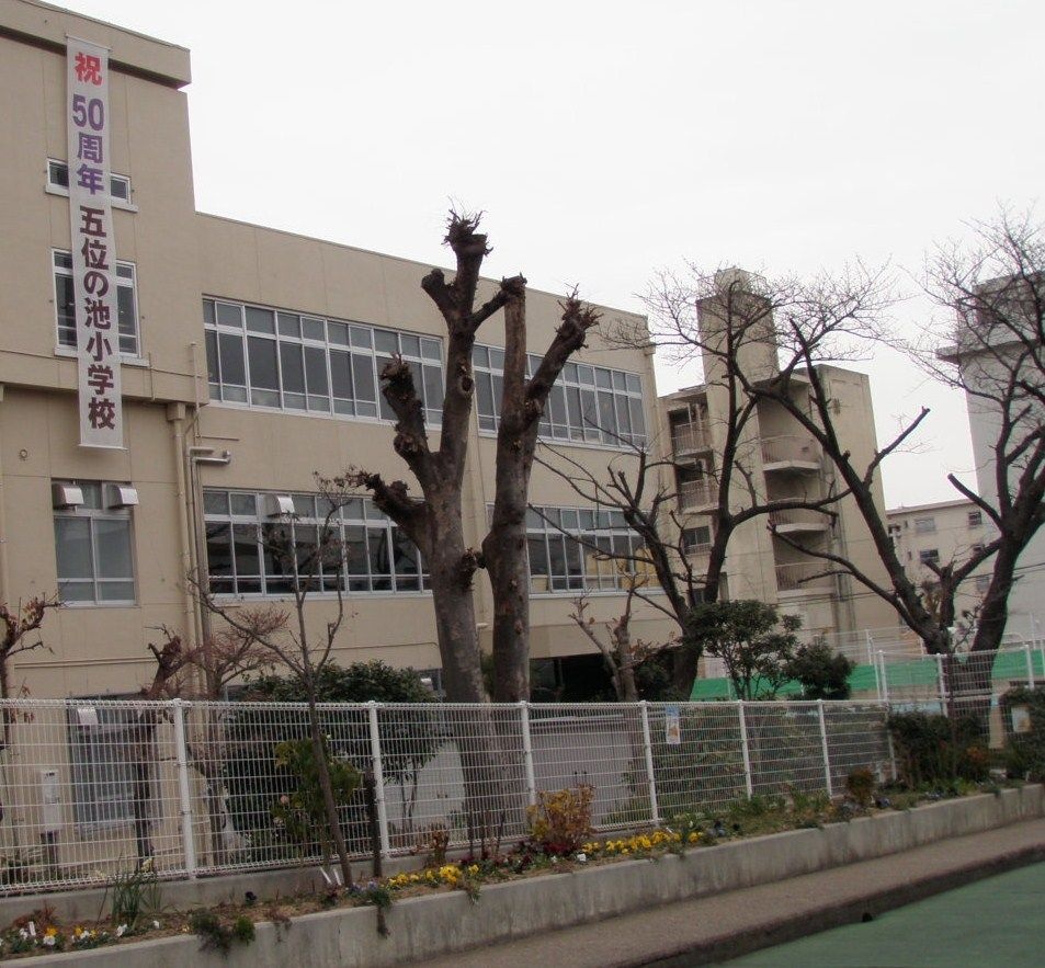 神戸市立五位の池小学校まで857m (徒歩11分) 写真21