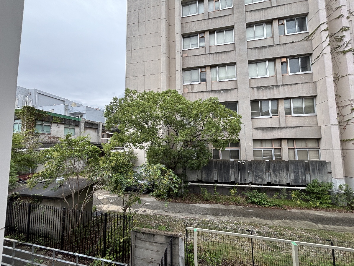 眺望 写真16