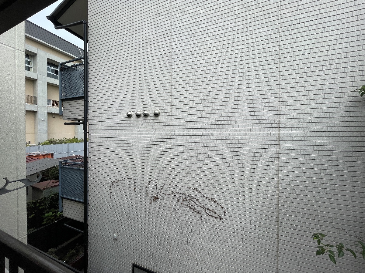 エントランス 写真19