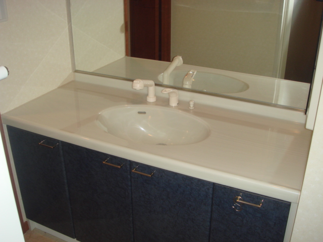 洗面所 シャンプードレッサー付洗面 写真6