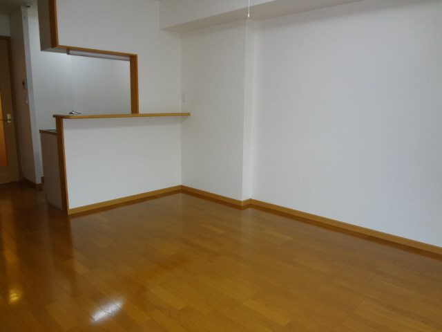 居室 洋室 写真9