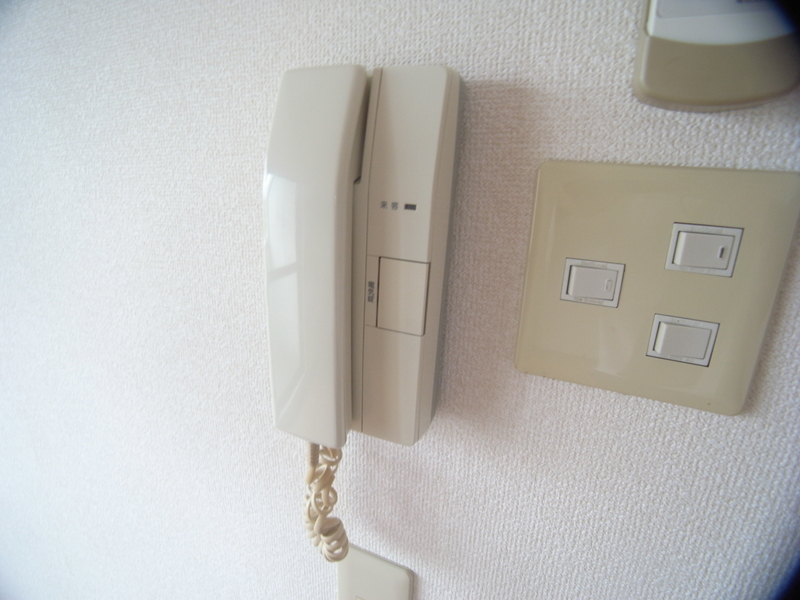 庭 写真11