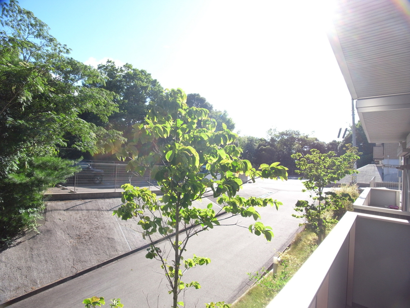 眺望 写真30