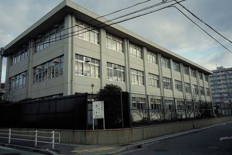 真陽小学校 写真21