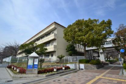 湊小学校 写真21