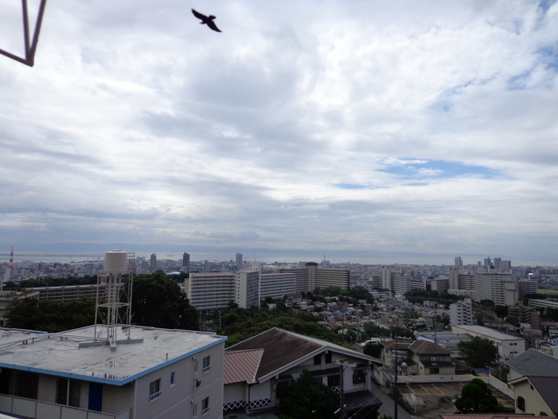 眺望 バルコニーからの景色 写真19