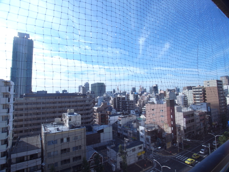 眺望 写真13